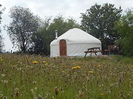 Ceridwen Glamping, Double decker Bus and Yurts