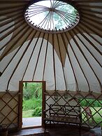 Ceridwen Glamping, Double decker Bus and Yurts