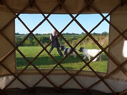 Ceridwen Glamping, Double decker Bus and Yurts