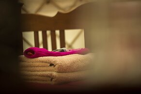 Ceridwen Glamping, Double decker Bus and Yurts