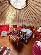 Ceridwen Glamping, Double decker Bus and Yurts
