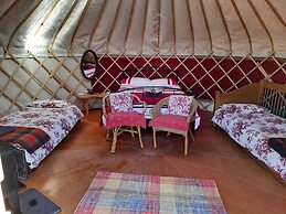 Ceridwen Glamping, Double decker Bus and Yurts