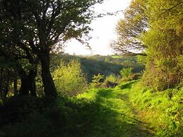 Ceridwen Glamping, Double decker Bus and Yurts