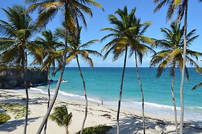 Tropical Gecko Studio