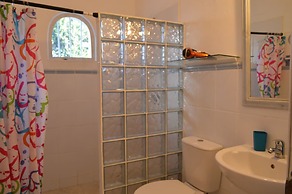 Tropical Gecko Studio