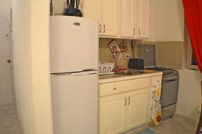 Tropical Gecko Studio