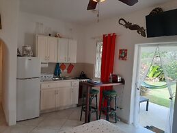 Tropical Gecko Studio