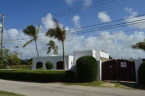 Tropical Gecko Studio