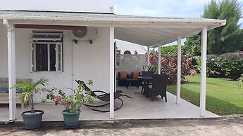 Tropical Gecko Studio