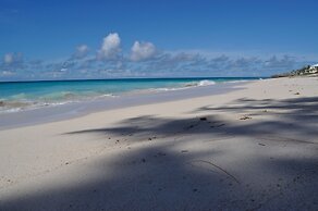 Tropical Gecko Studio