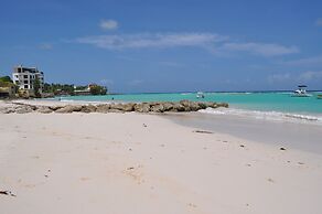 Tropical Gecko Studio