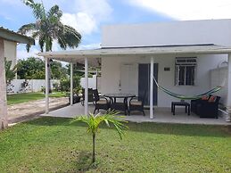 Tropical Gecko Studio