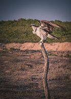 Hotel Villas Mar y Arena