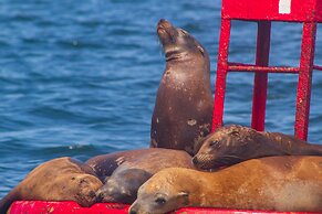 Hotel Villas Mar y Arena