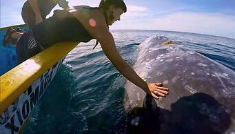 Hotel Villas Mar y Arena