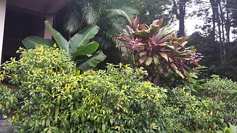 Hotel Dream House Escazu