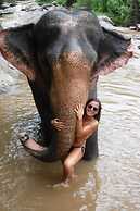 All In 1 Guesthouse Chiang Mai