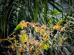 Pousada Caminho dos Ipês