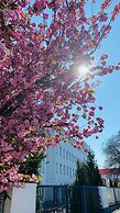 Hotel am Rhein - Wesseling