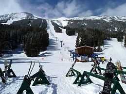Castle Mountain Ski Lodge - Hostel