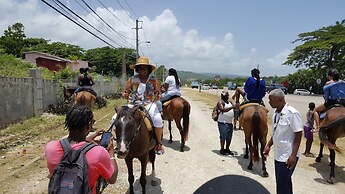 Ocho Rios Villa at Coolshade