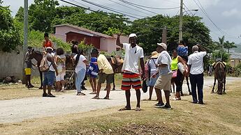Ocho Rios Villa at Coolshade