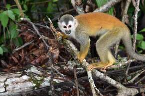 Hotel Manuel Antonio Park