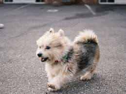 Alexandra Heights Motel