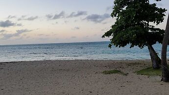 Aquatika Paraiso Tropical