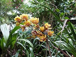 Isla de Baños Hosteria y Spa