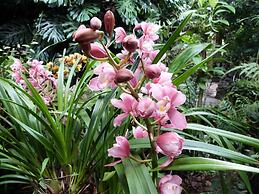 Isla de Baños Hosteria y Spa