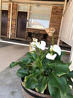 Royal Motel Tenterfield