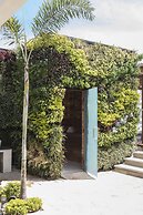 Chileno Bay Resort & Residences, Auberge Resorts Collection