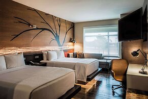 Cambria Hotel McAllen Convention Center