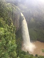 Waitomo Caves Guest Lodge