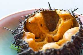 Minamisanriku Hotel Kanyo