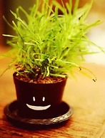 Yoo Yen Pen Sook Hostel