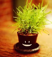 Yoo Yen Pen Sook Hostel