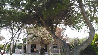 The Santo George Beach Resort