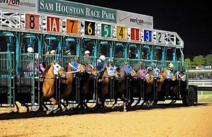 Comfort Suites Near Sam Houston Race Park
