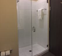 Comfort Suites Near Sam Houston Race Park