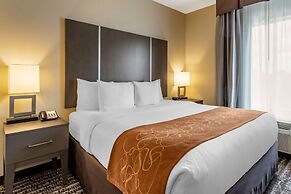 Comfort Suites Near Sam Houston Race Park