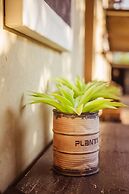 Bushveld Terrace Safari Hotel, Lodge & Spa