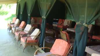 The Nubian in the Mara