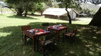 The Nubian in the Mara