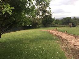 The Nubian in the Mara