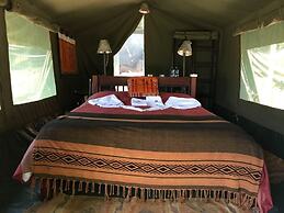 The Nubian in the Mara