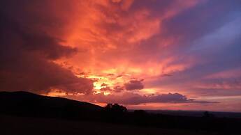 The Nubian in the Mara