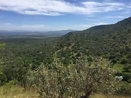 The Nubian in the Mara