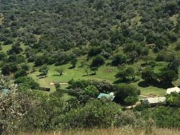 The Nubian in the Mara